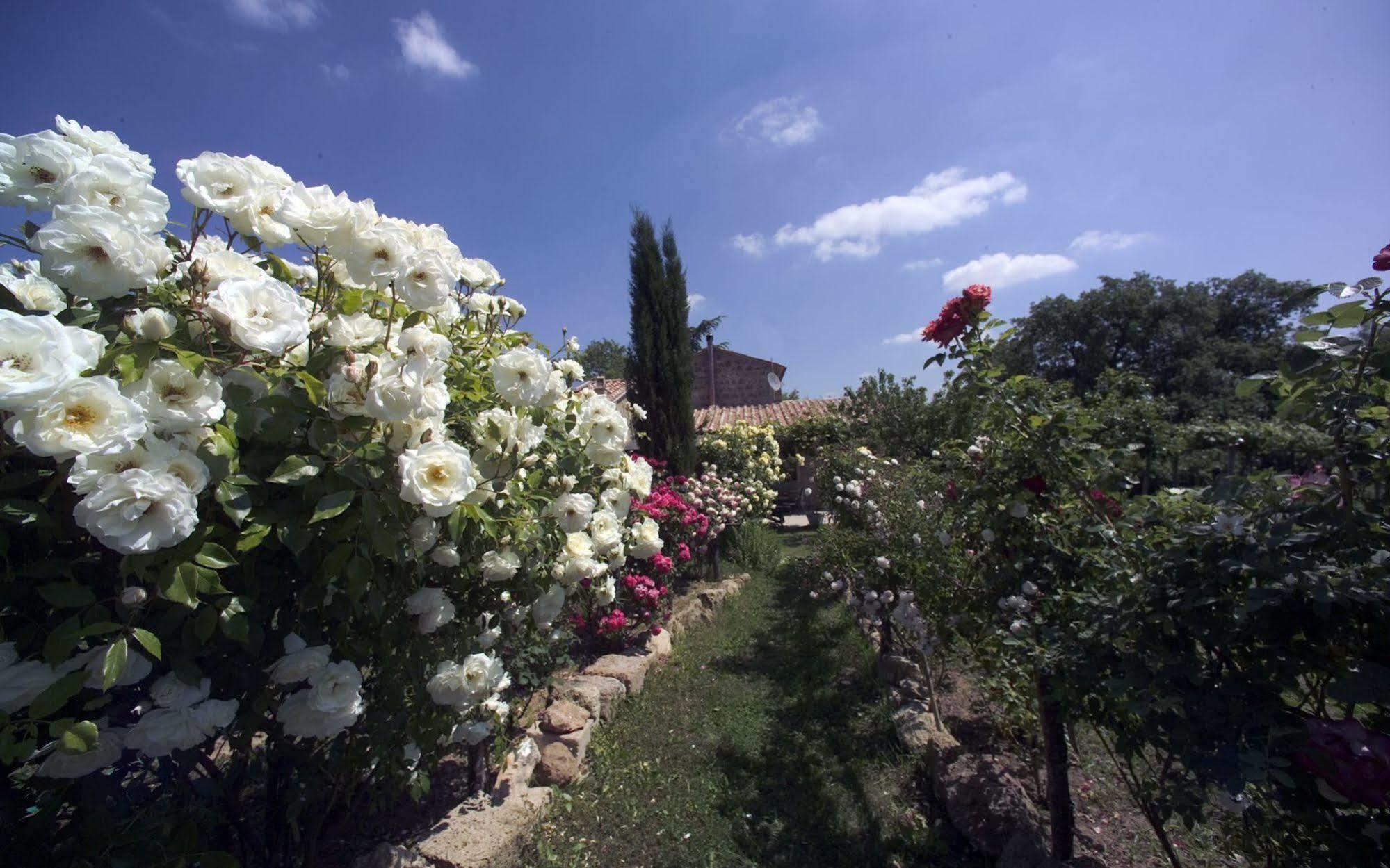 Locanda Ilune Pitigliano Exteriör bild